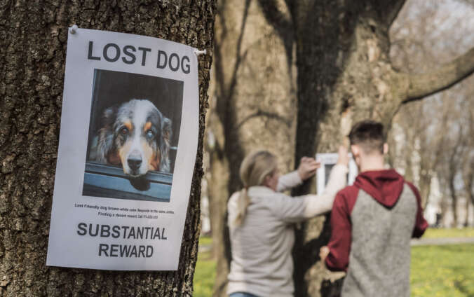 Missing Pet Poster on a tree