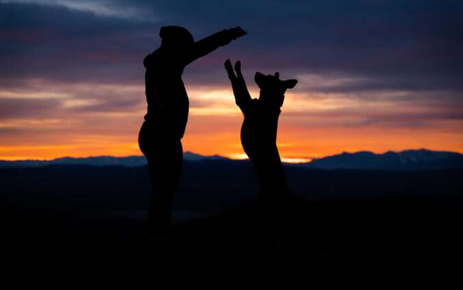 A person is holding hand up and a dog is jumping