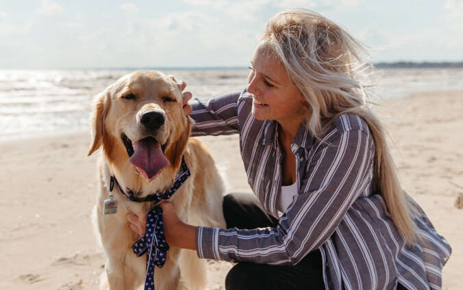 A woman is knelt down petting her golden retriever on a sandy beach