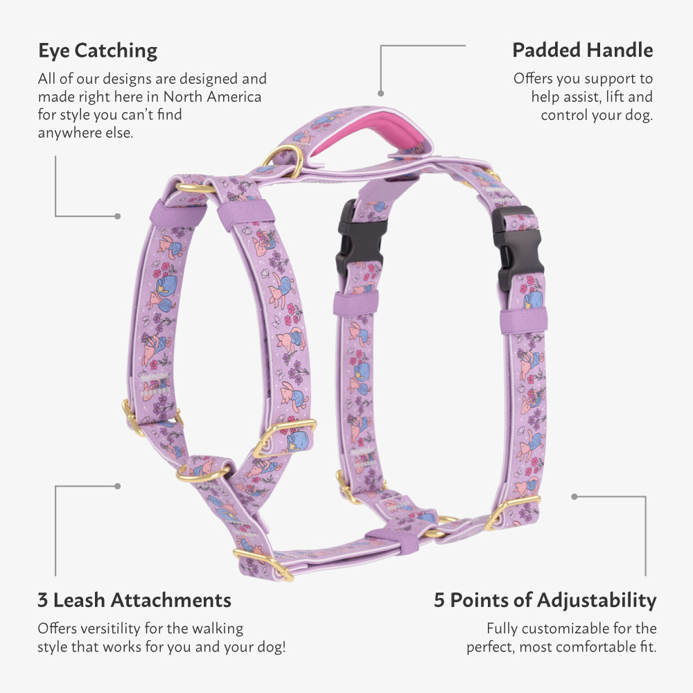 motion harness