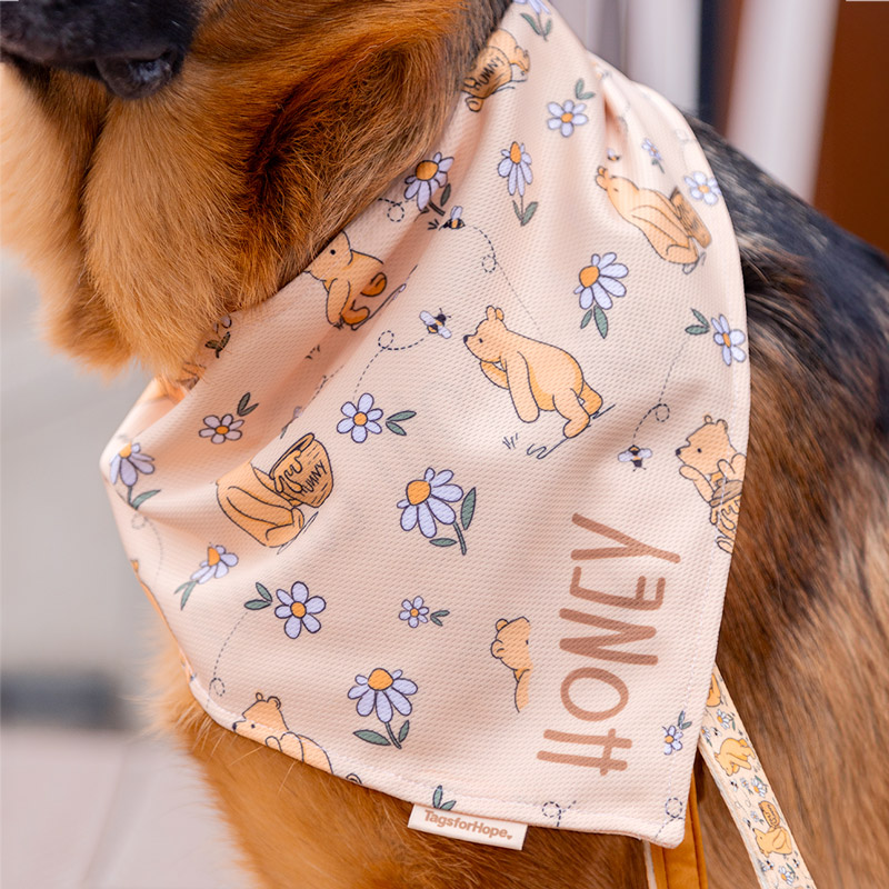 winnie the pooh bandana