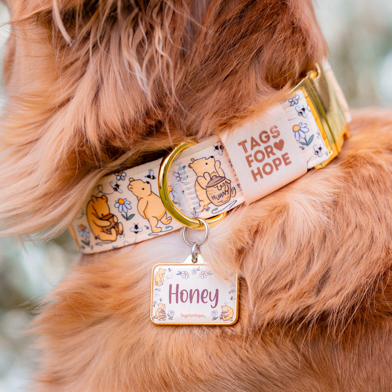 winnie the pooh collar tag also golden