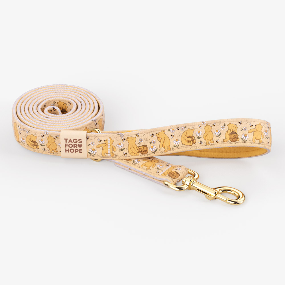 Pet Leash