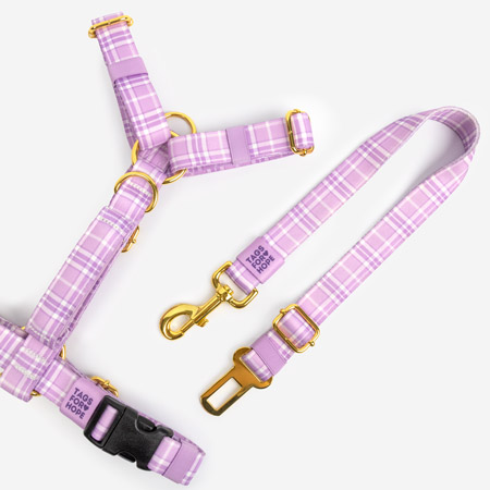 Motion harness and seatbelt in matching design.