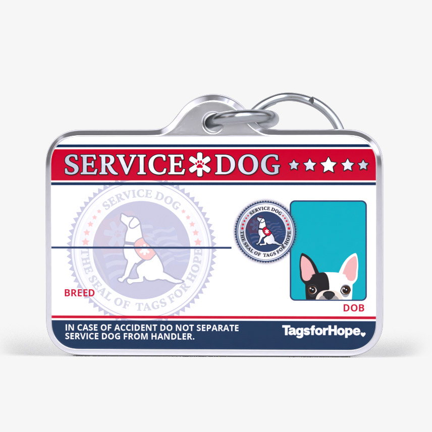 Service Dog Trending