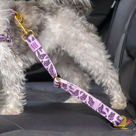 Buckled pet seatbelt.