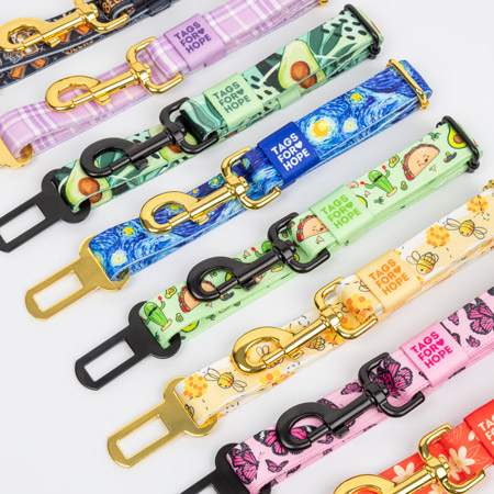 Collection of pet seatbelts