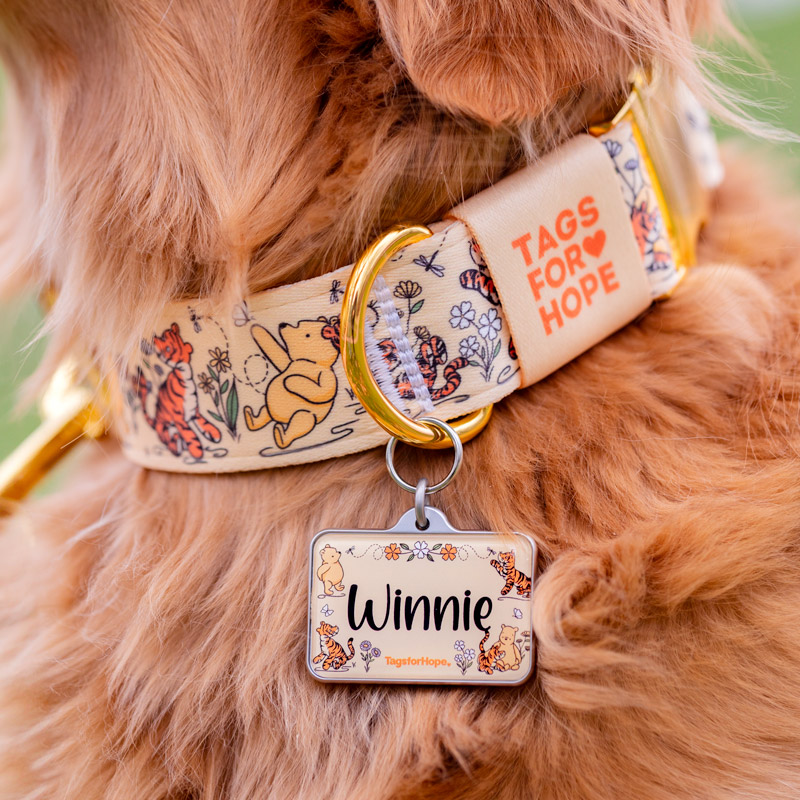 tigger and pooh collar tag