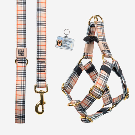 tag, motion harness and leash