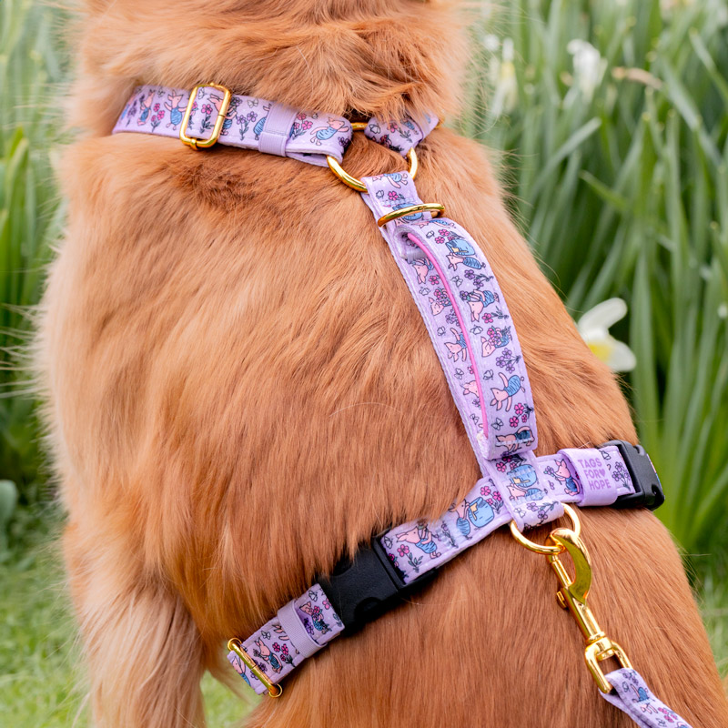 piglet harness