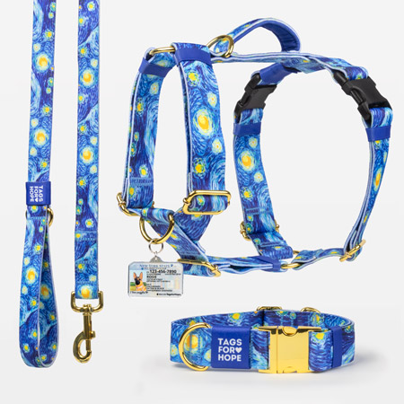 Motion harness, a collar, a leash and a tag