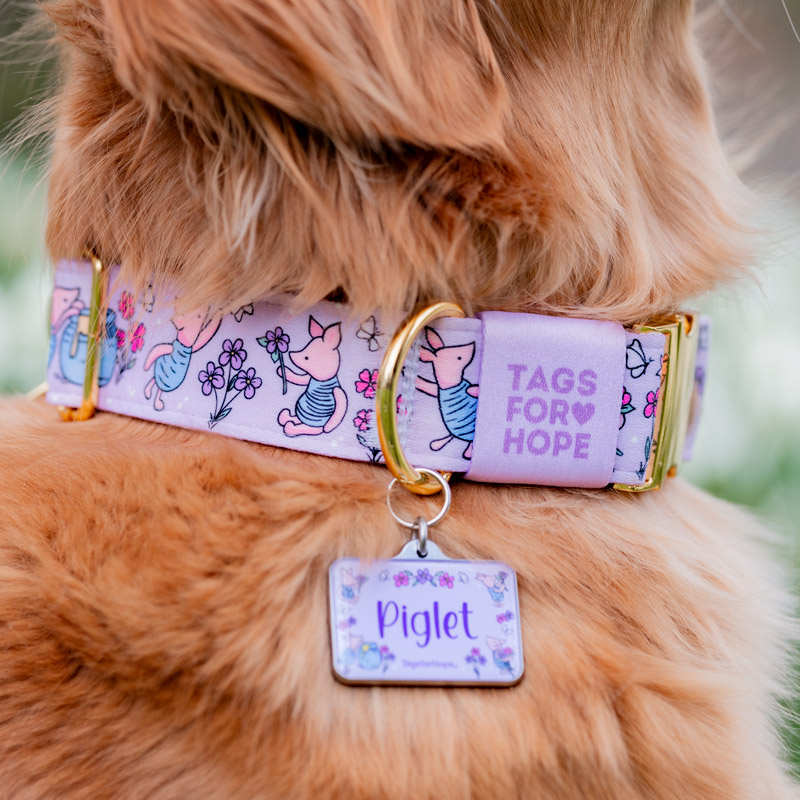 piglet collar