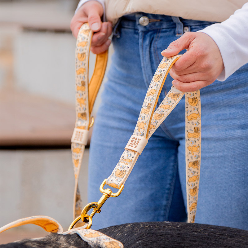 winnie the pooh leash