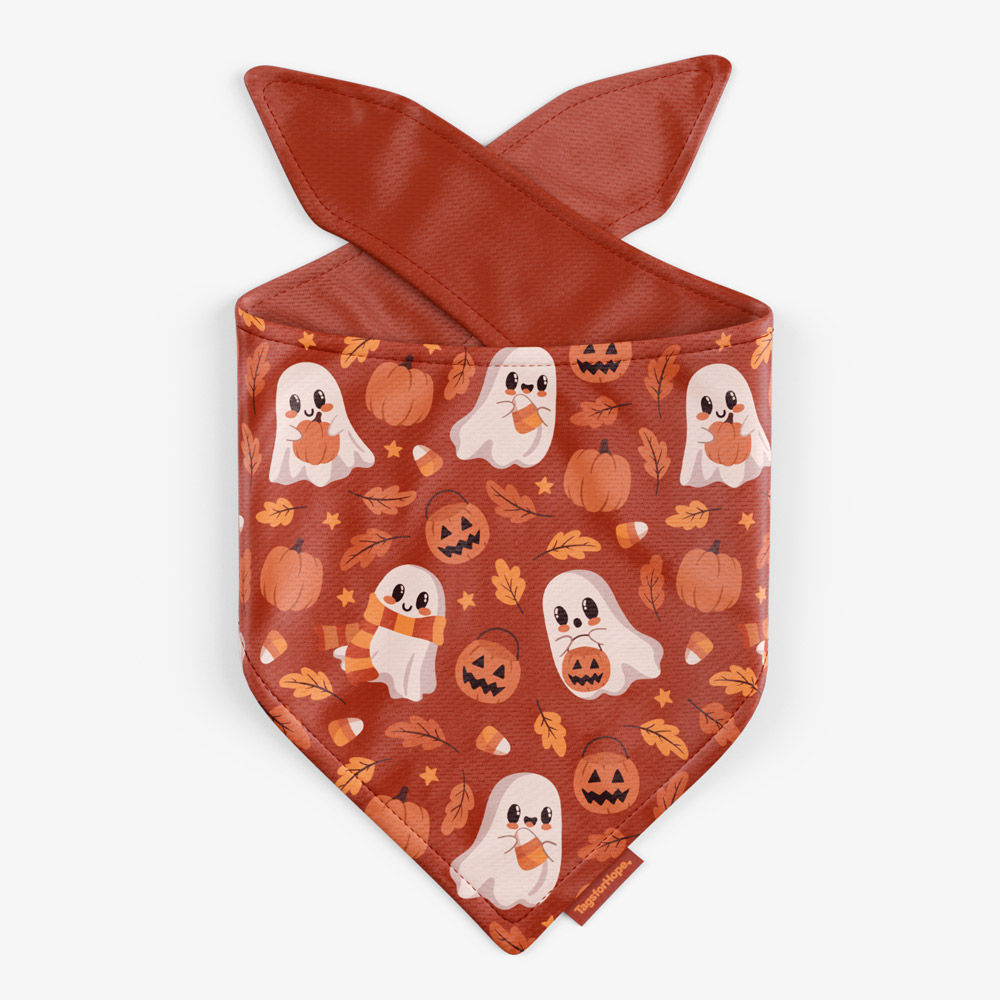 Autumn Ghosties Trending