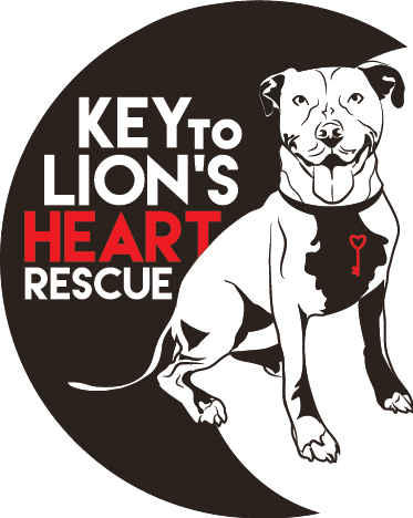 Key To Lion’s Heart Rescue logo