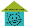 The Rescue Business logo