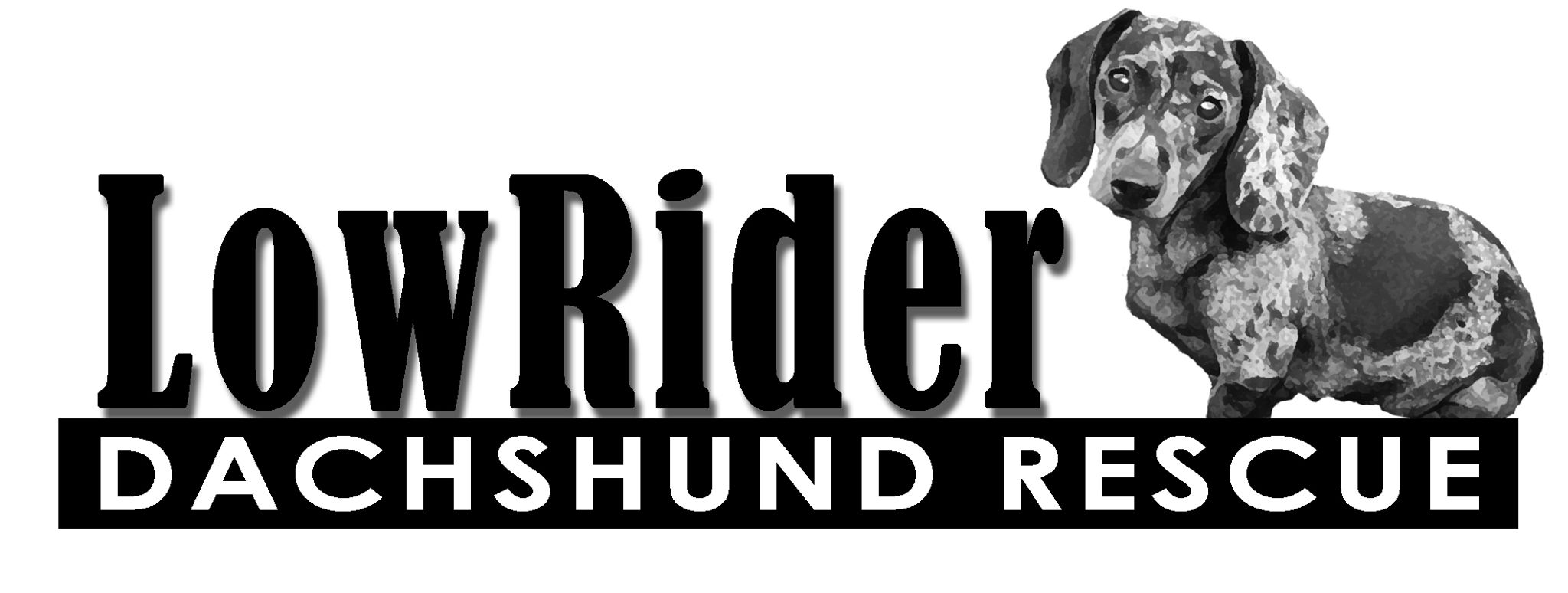 LowRider Dachshund Rescue logo