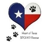 Heart of Texas SPCA K9 Rescue logo