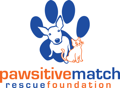 Pawsitive Match Rescue Foundation logo