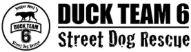 Duck Team 6 logo