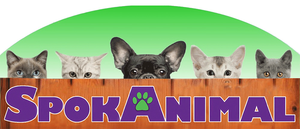 SpokAnimal logo