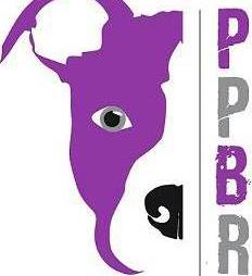 Prairie Pit Bull Rescue logo