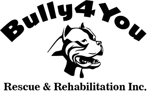 Bully4You Rescue and Rehabilitation Inc logo