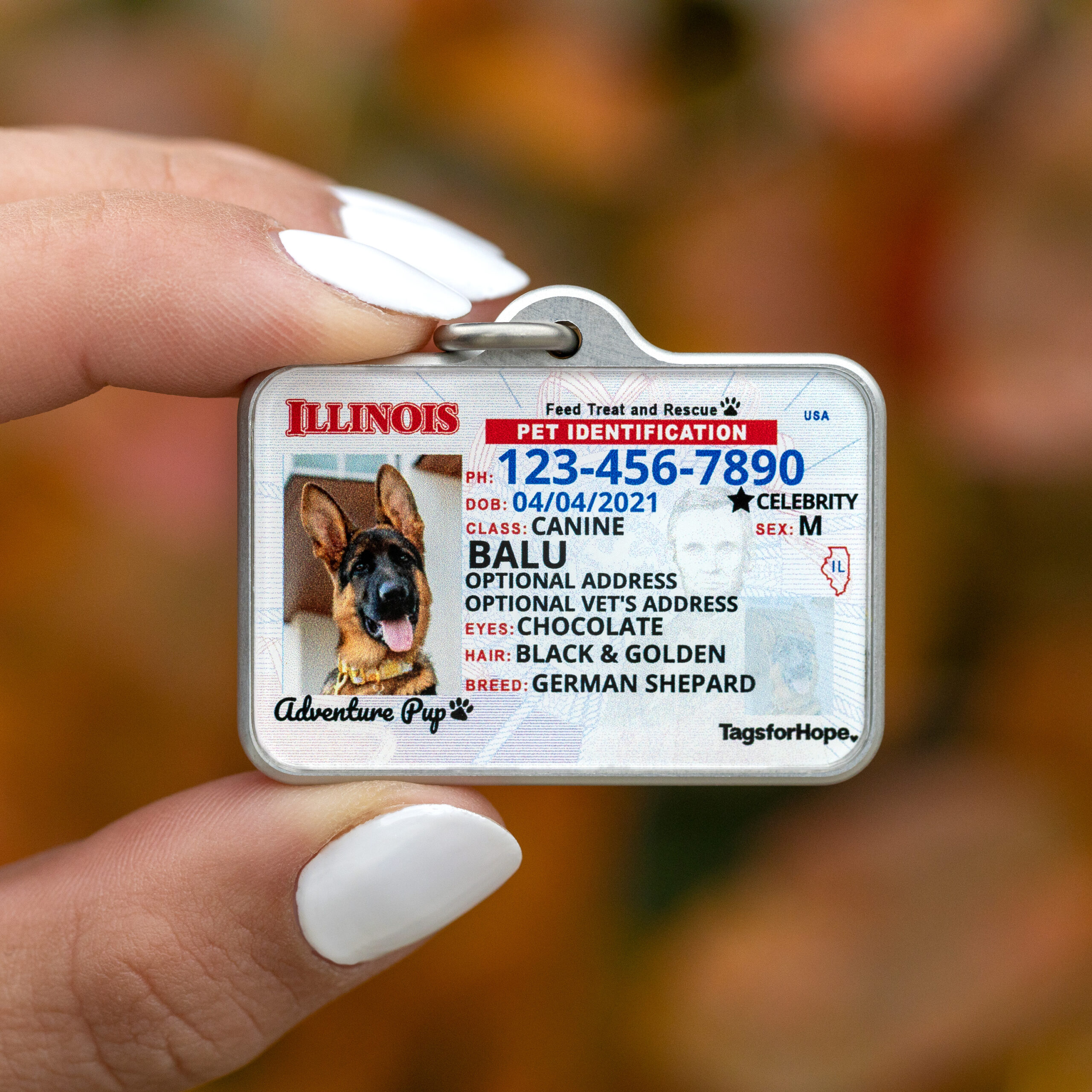How to keep my dog's name tag and license from falling off the